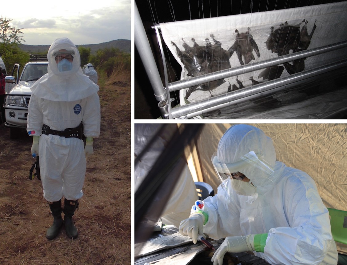 アフリカにおける人獣共通感染症サーベイランス 岡山大学×SDGs